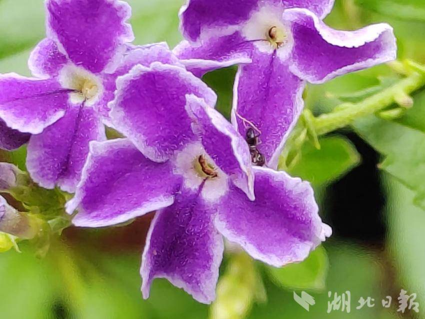 20秒免费体验游戏